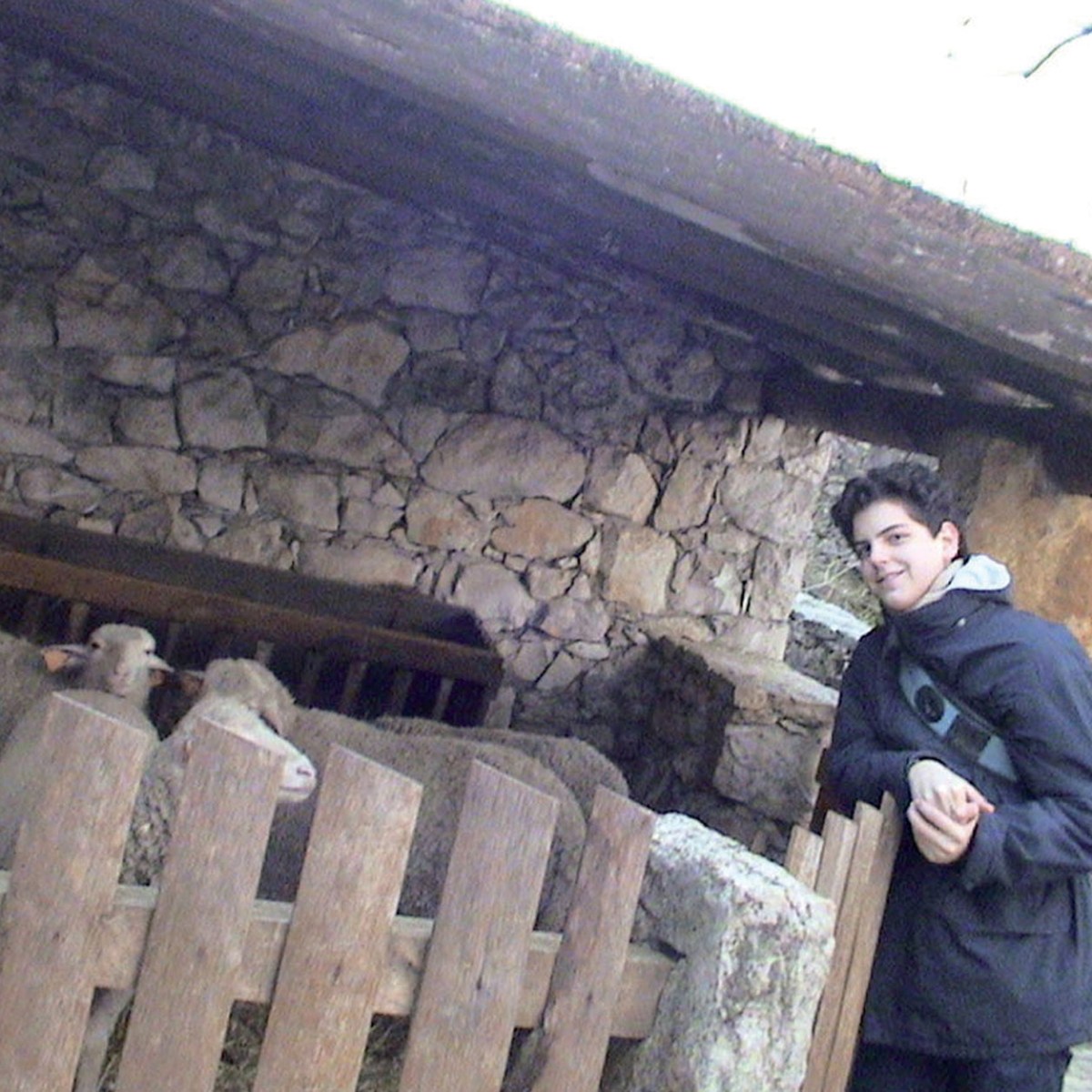 Novena a Carlo Acutis. Día&nbsp;01