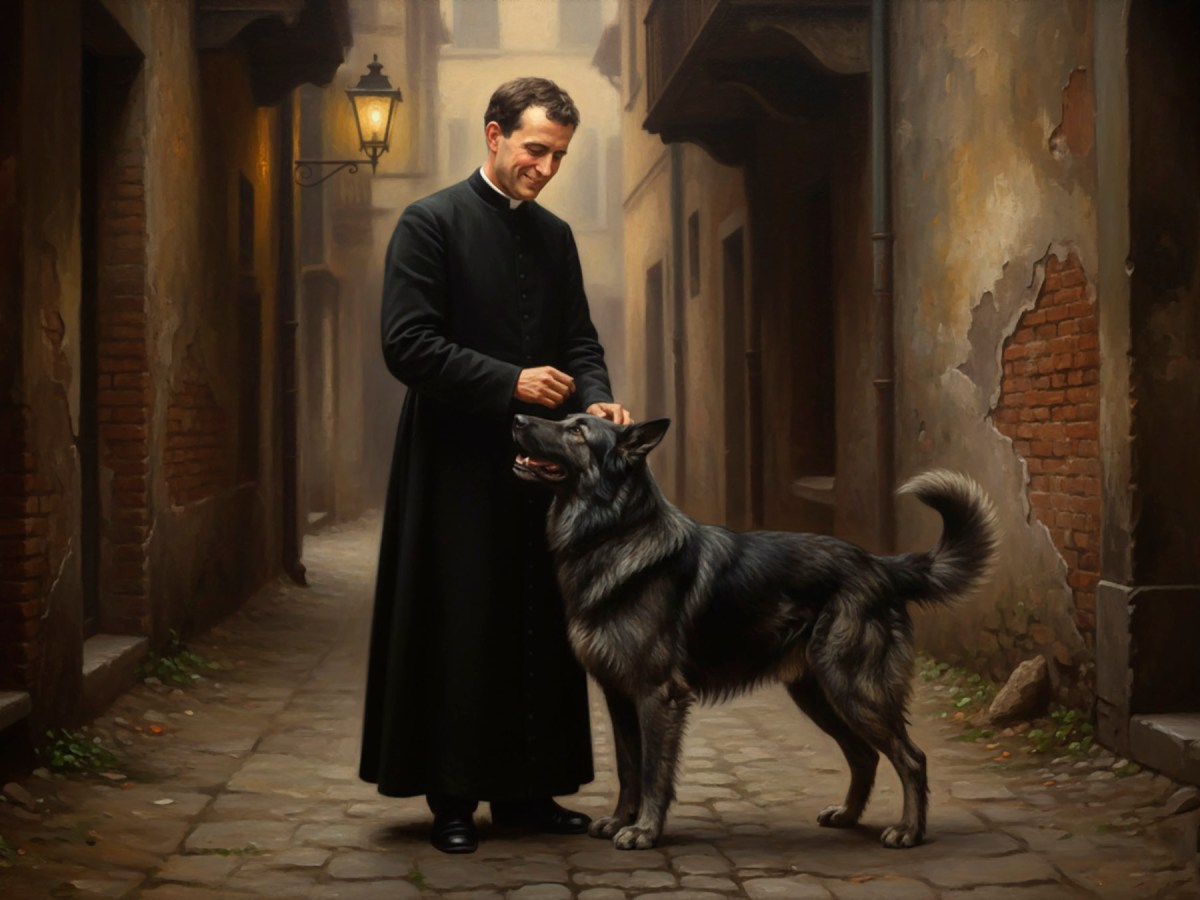 Don Bosco y&nbsp;Grigio