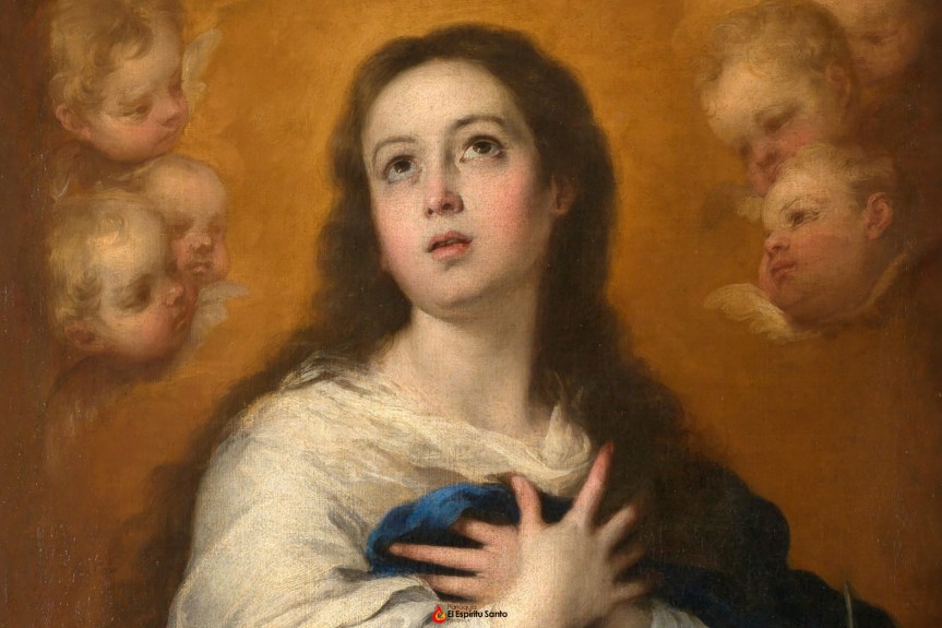 Novena a la Inmaculada Concepción. Día&nbsp;07