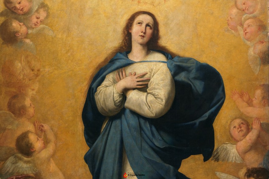 Novena a la Inmaculada Concepción. Día&nbsp;08