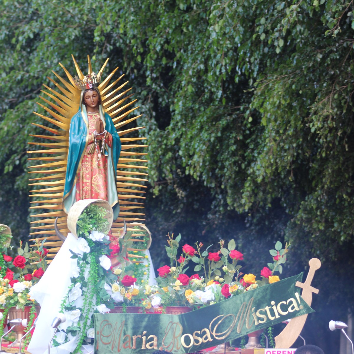La fiesta en honor a la Virgen de&nbsp;Guadalupe
