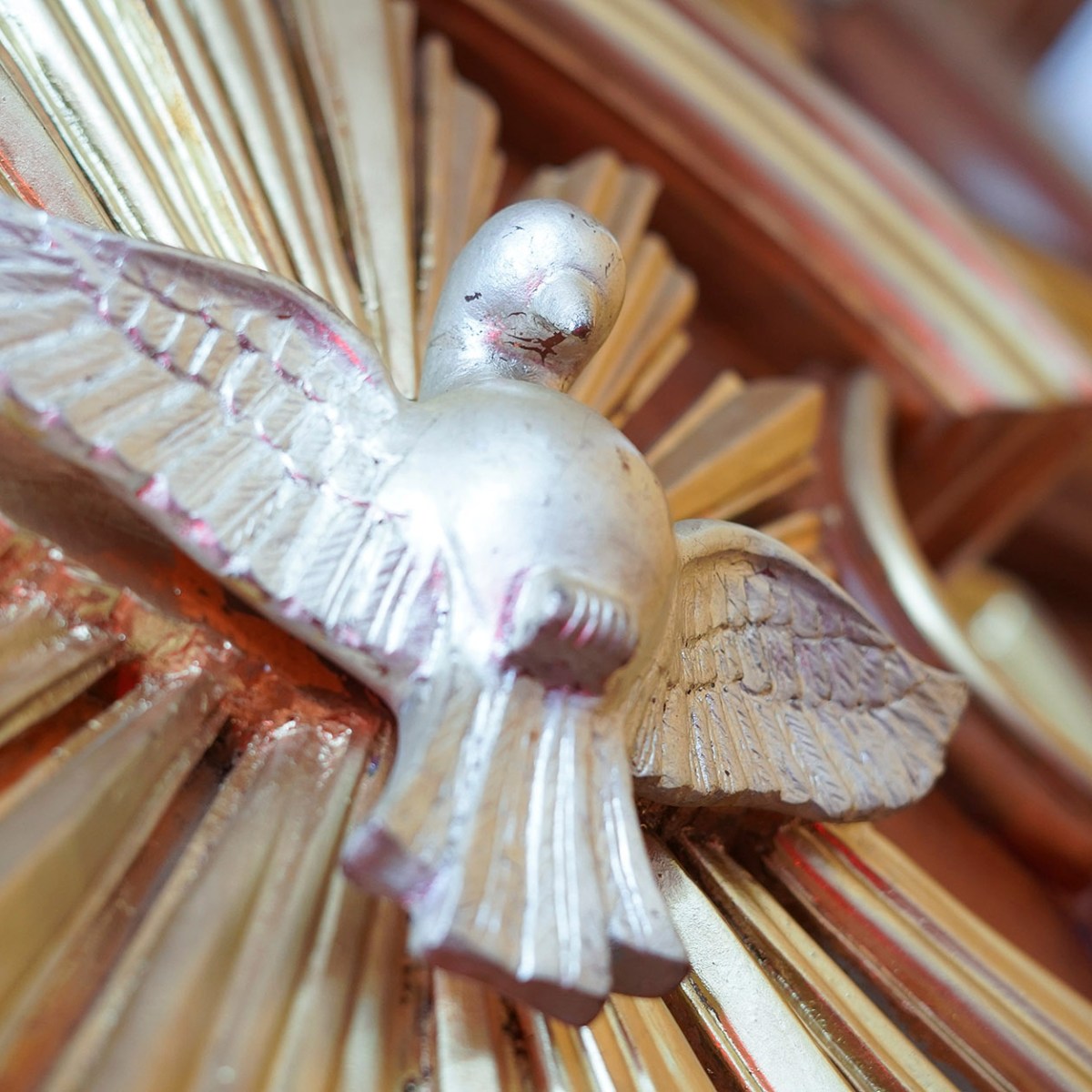 Resplandezca sobre nosotros