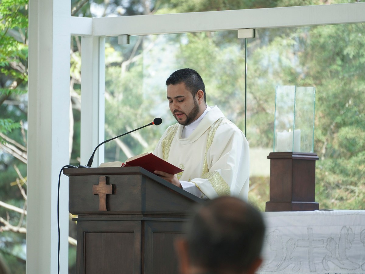 Domingo del Buen&nbsp;Pastor