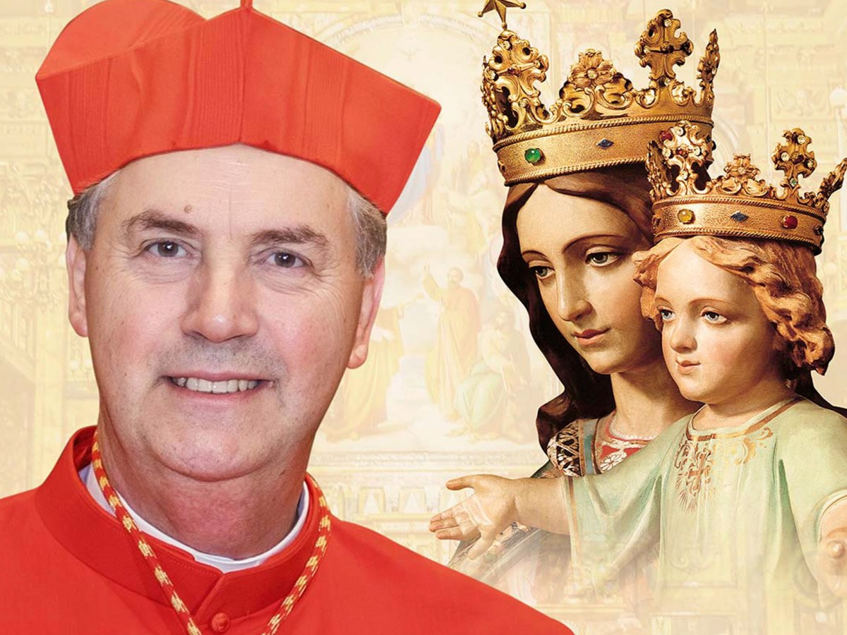 Card. Ángel Fernández Artime: «María Auxiliadora, de aquí al&nbsp;mundo»