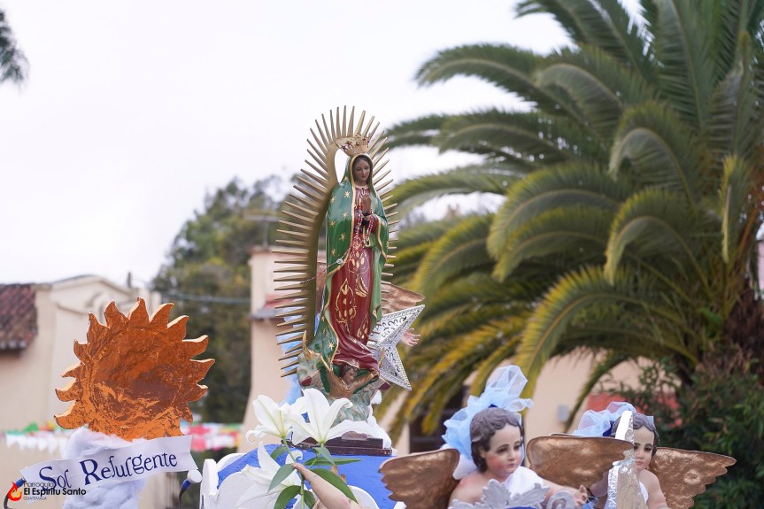 Procesión infantil de la Virgen de Guadalupe&nbsp;2024