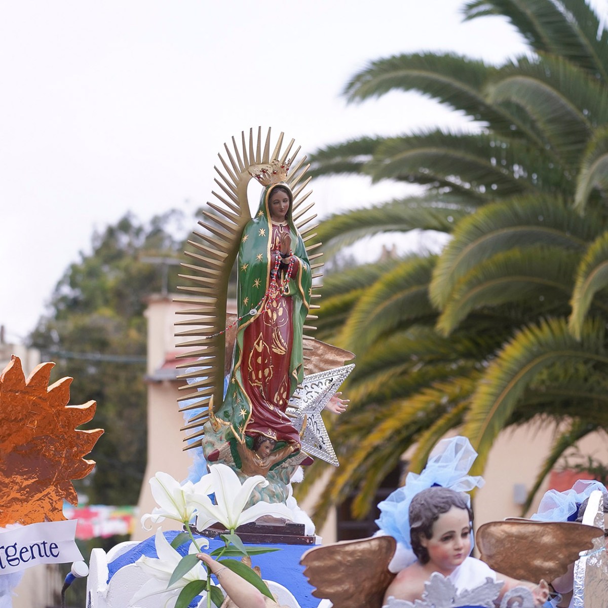 Procesión infantil de la Virgen de Guadalupe&nbsp;2024