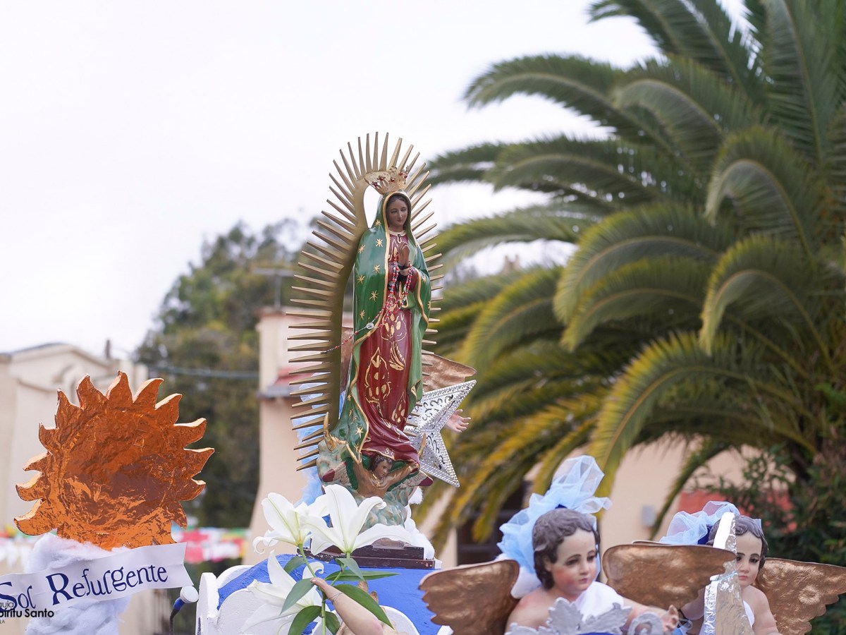 Procesión infantil de la Virgen de Guadalupe&nbsp;2024