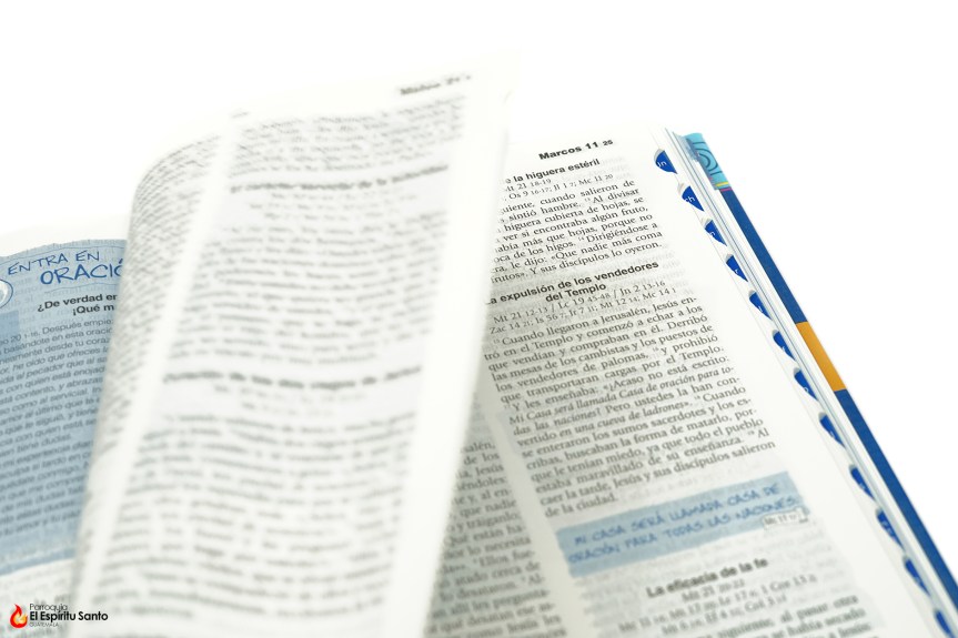 Parroquia El Espíritu Santo, Las Charcas, Salesianos, Salesianos Guatemala, Evangelio, Evangelio del día, Evangelio diario, Católico,