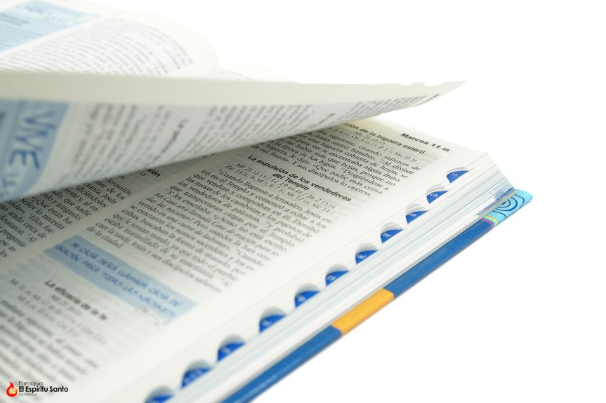 Parroquia El Espíritu Santo, Las Charcas, Salesianos, Salesianos Guatemala, Evangelio, Evangelio del día, Evangelio diario, Católico,