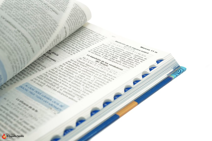 Miércoles, 24 de diciembre de&nbsp;2025