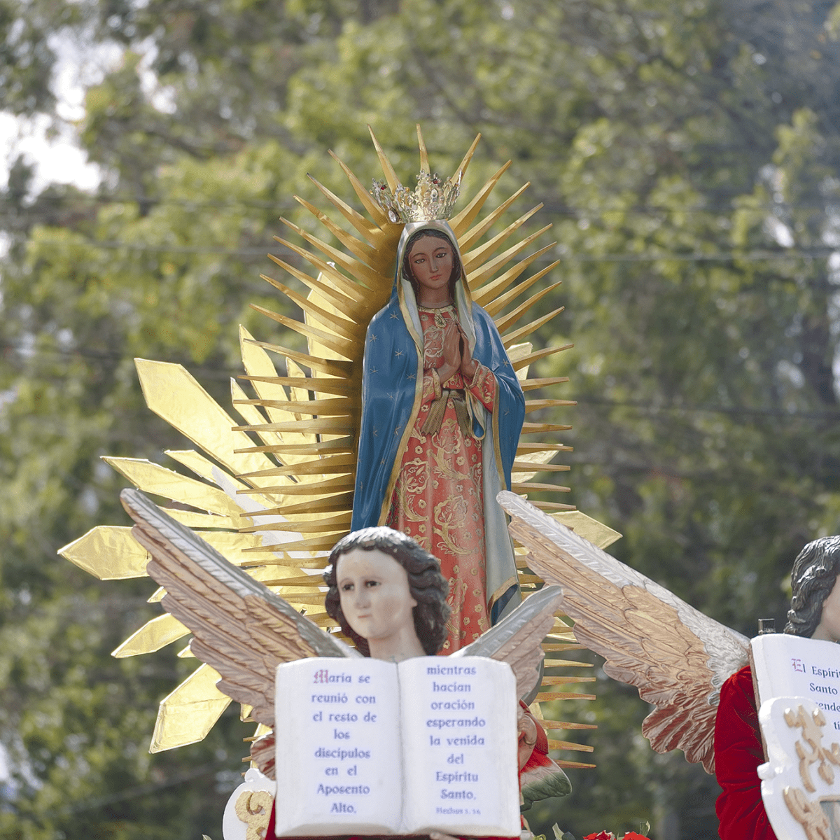 A la Virgen de&nbsp;Guadalupe