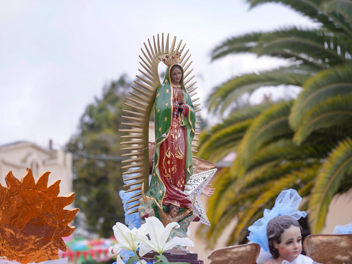 Procesión infantil guadalupana recorrerá las calles de la parroquia este&nbsp;sábado