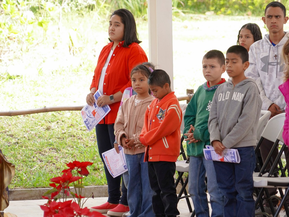 Domingo, 15 de febrero de&nbsp;2026