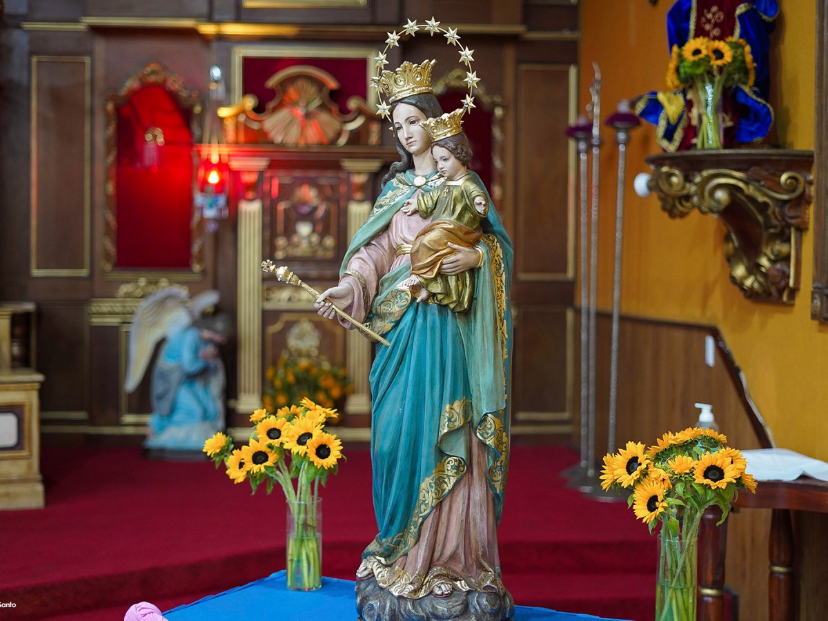 Febrero – Asociación de María Auxiliadora en la Familia&nbsp;Salesiana